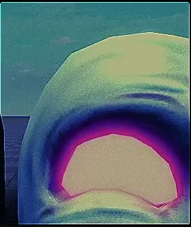 Noli-25